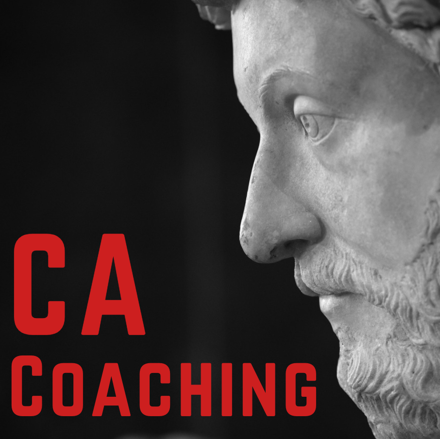 CA Coaching: One on One Access for 30 Days